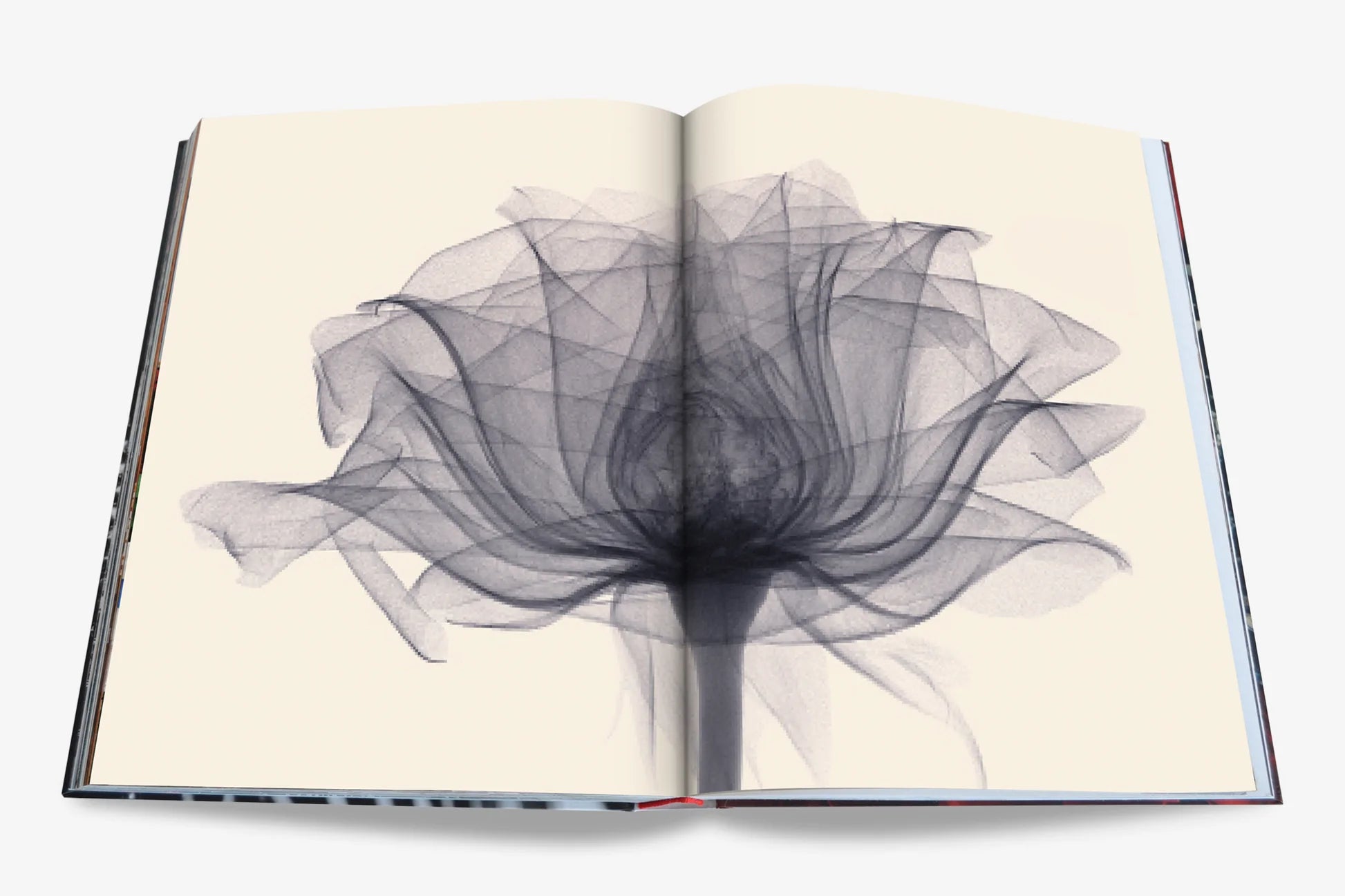 FLOWERS: ART & BOUQUETS