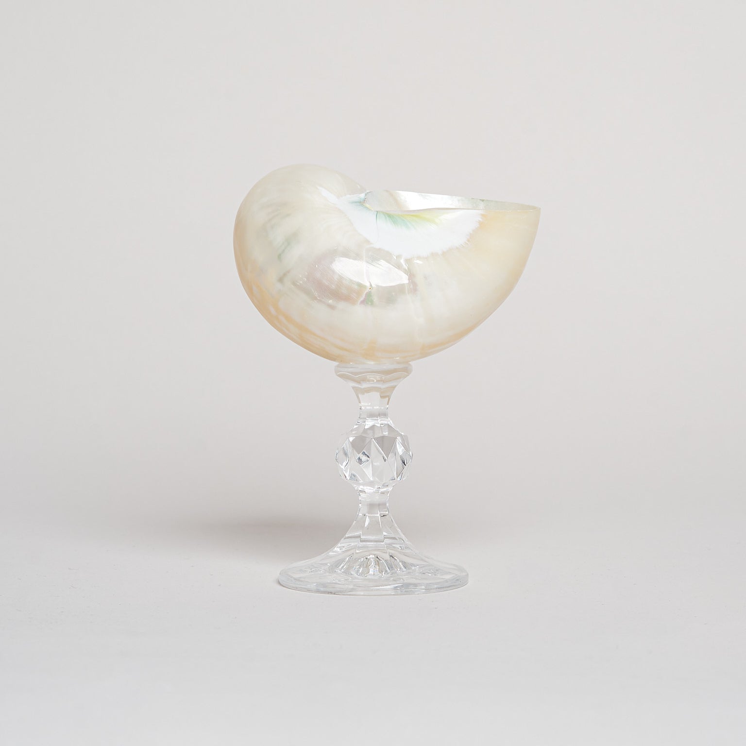 Ariel Pearl Snail sklenice