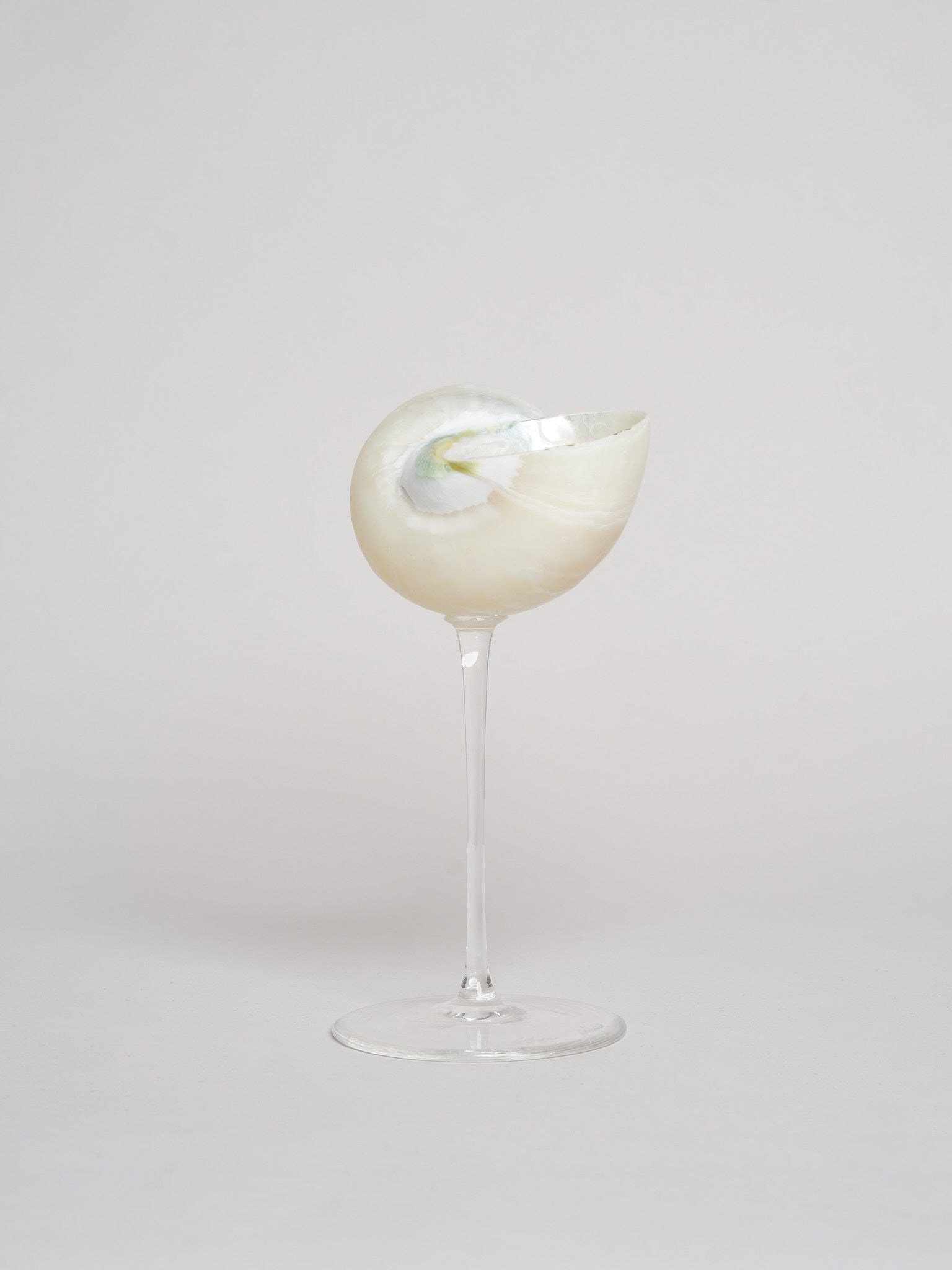 Ariel Pearl Snail sklenice