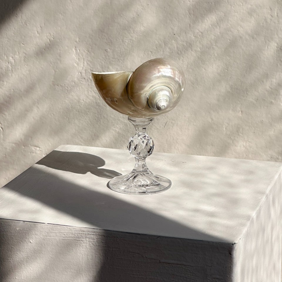 Ariel Pearl Snail sklenice