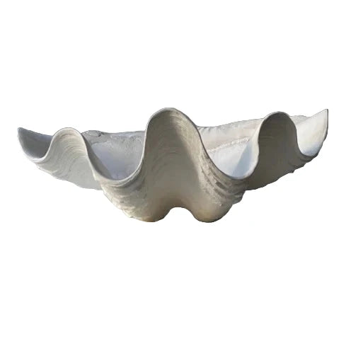 Clam Shell Bowl