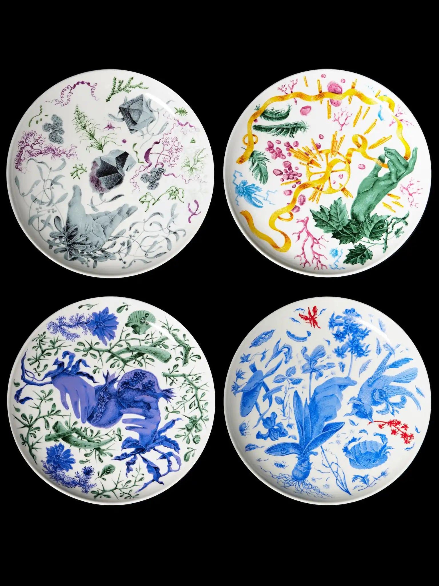 Hyakintos jídelní talíř