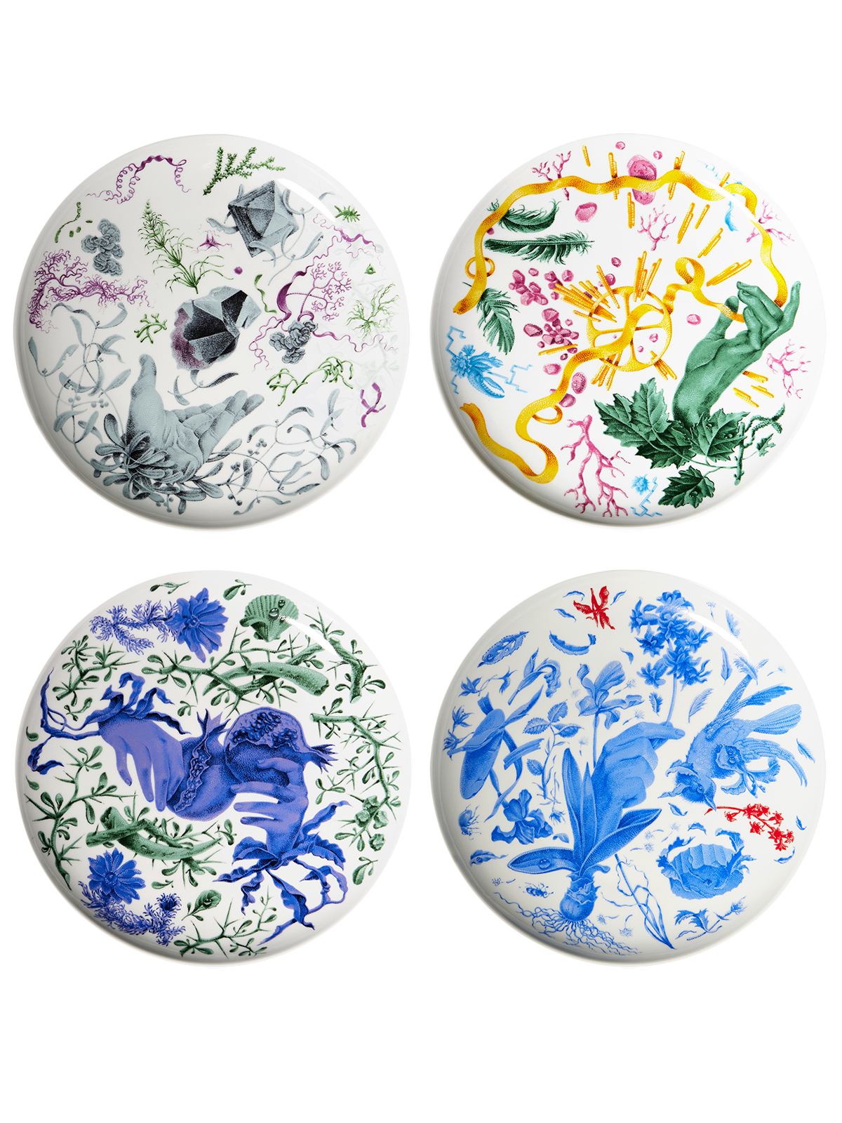 Adonis jídelní talíř