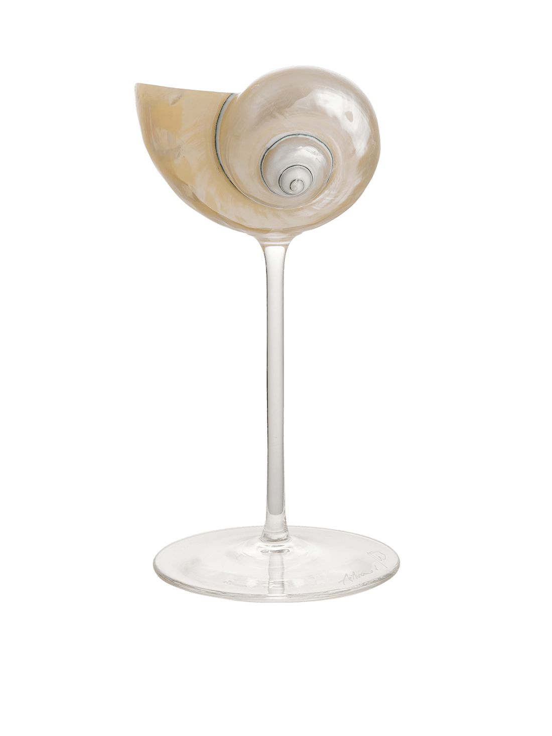 Ariel Pearl Snail sklenice