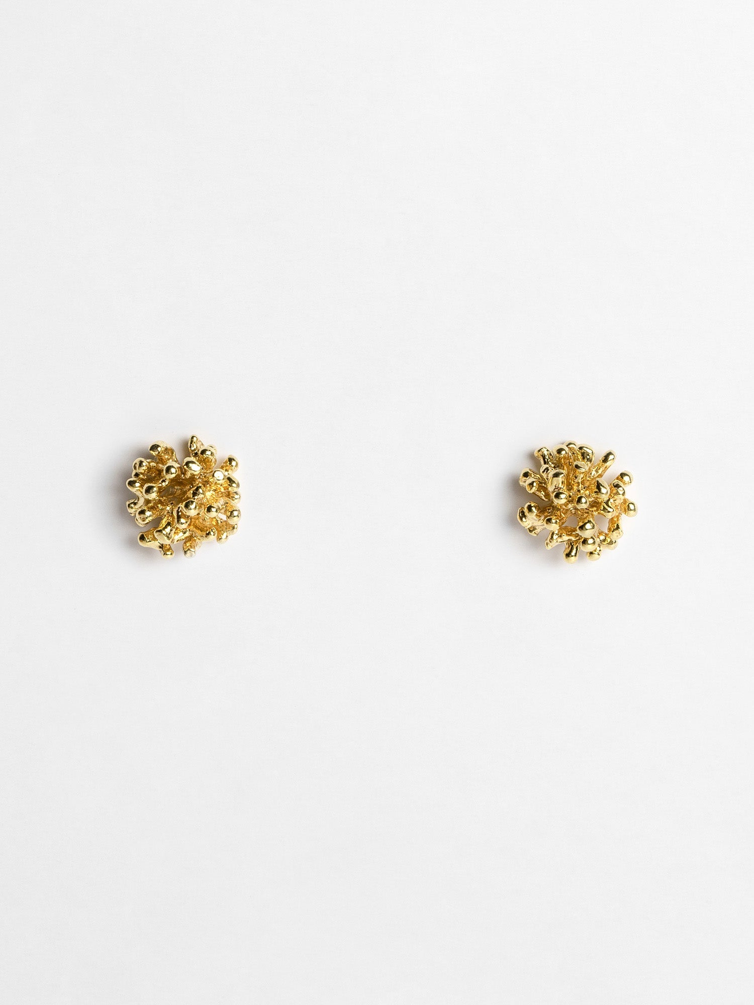 Coral earrings