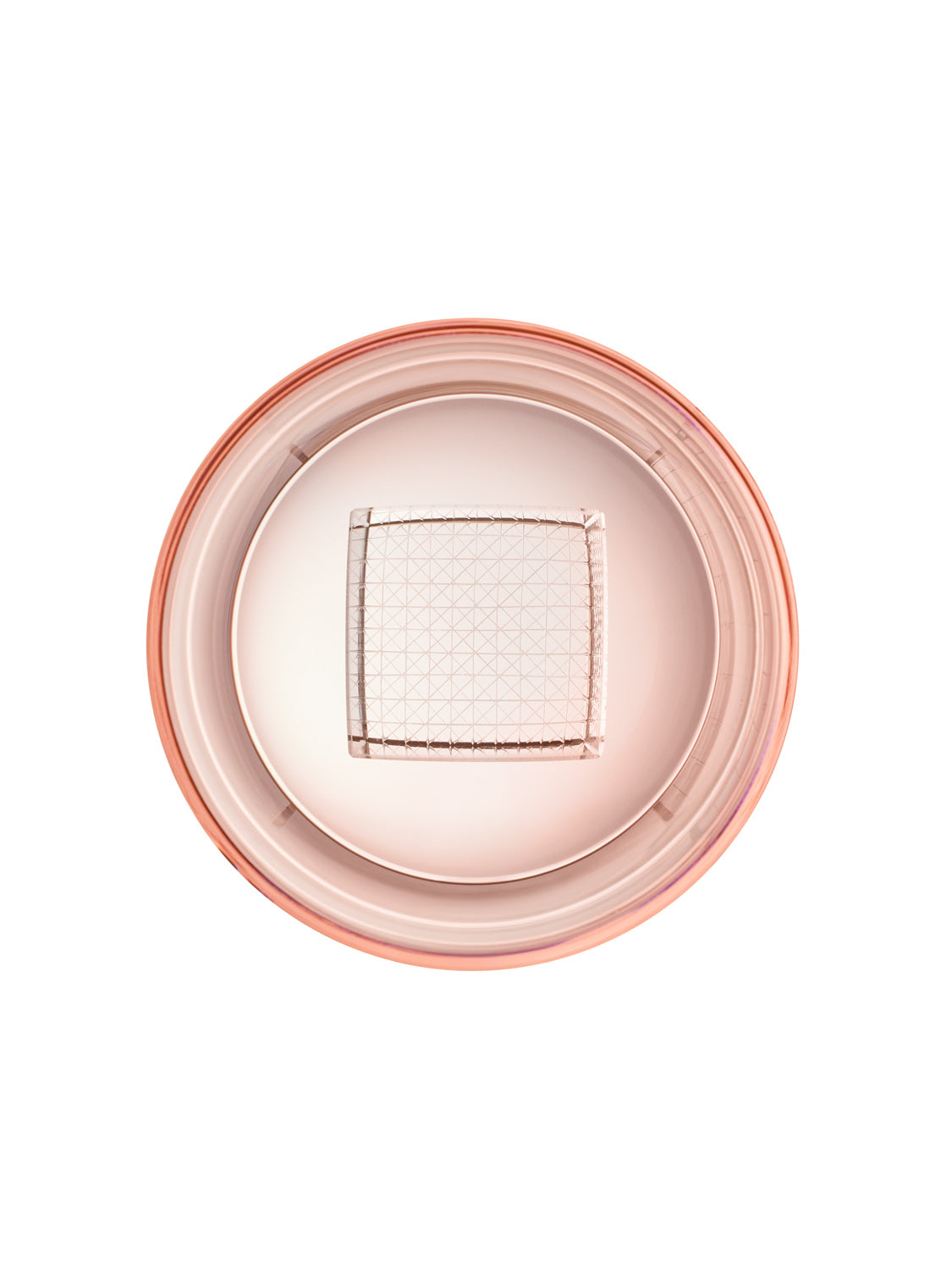 Rose Whiskey Cube glasses