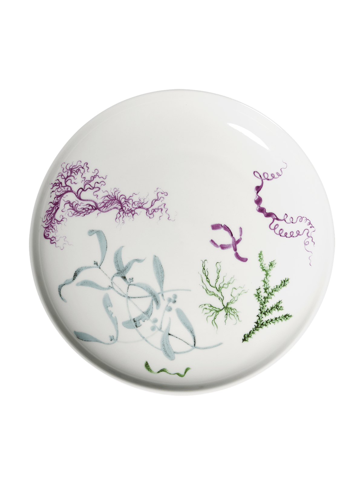 Deucalion dessert plate